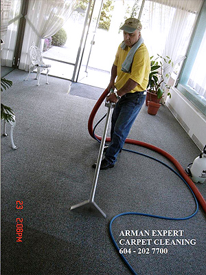 Arman Expert Professional Carpet Cleaners