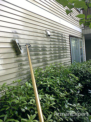 Arman Expert Pressure Washing - Before Picture
