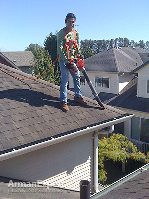 Roof Damage Repair Burnaby BC