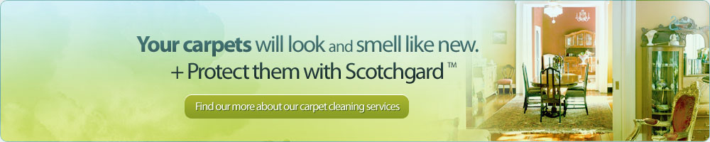 Carpet Cleaning